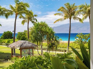 Property grounds - 99 Steps to the Sand - Ground Floor 3 Bedroom - Hokulani 104 (Lahaina)