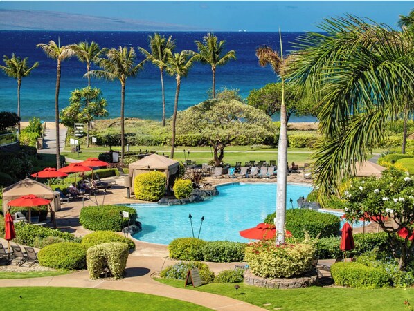 An infinity pool, a lap pool