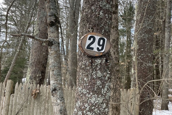 Àrea exterior de l'allotjament