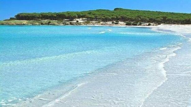 A beach with clear turquoise water, white sand, and a forested hill in the background. - Saturday-Saturday-L'ondazzurra stays: a vacation without contingencies!  (Marina di Mancaversa)