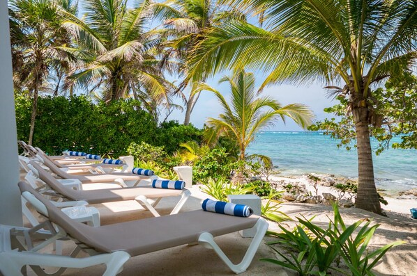 Property grounds - Magnificent Beachfront villa designed by renowned architect in South Akumal. (Akumal)