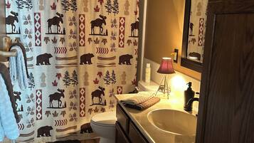 Combined shower/tub, hair dryer, towels, toilet paper