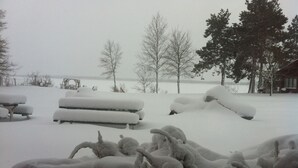A snowy outdoor area with benches and trees.