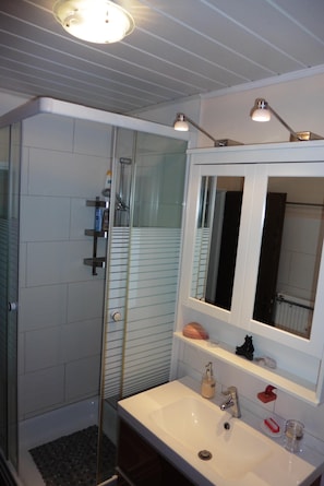 Bathroom features a glass-enclosed shower and a sink with a mirror.