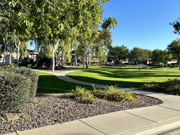 Property grounds - Fabulous Surprise Home With Pool (Surprise)