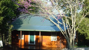 A wooden cabin with a green door and windows, surrounded by trees and gravel. - CEDAR CREST CABIN NEAR DOUGLAS LAKE. 30 MILES AWAY FROM GATLIN BURG.   (NEWPORT)