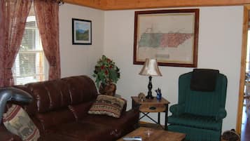 Smart TV, fireplace, DVD player, books