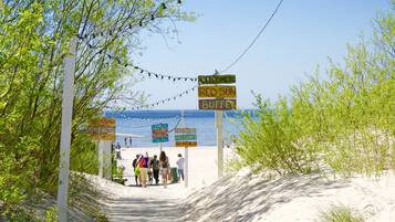 Playa