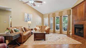 TV connectée, cheminée, lecteur de DVD, livres