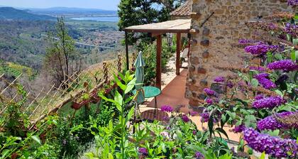 Cozy stone house in the green, sea-lake view, garden, air cond. WIFI, washer