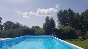 Ein rechteckiger Pool mit einer Leiter, umgeben von Bäumen und einer Rasenfläche.