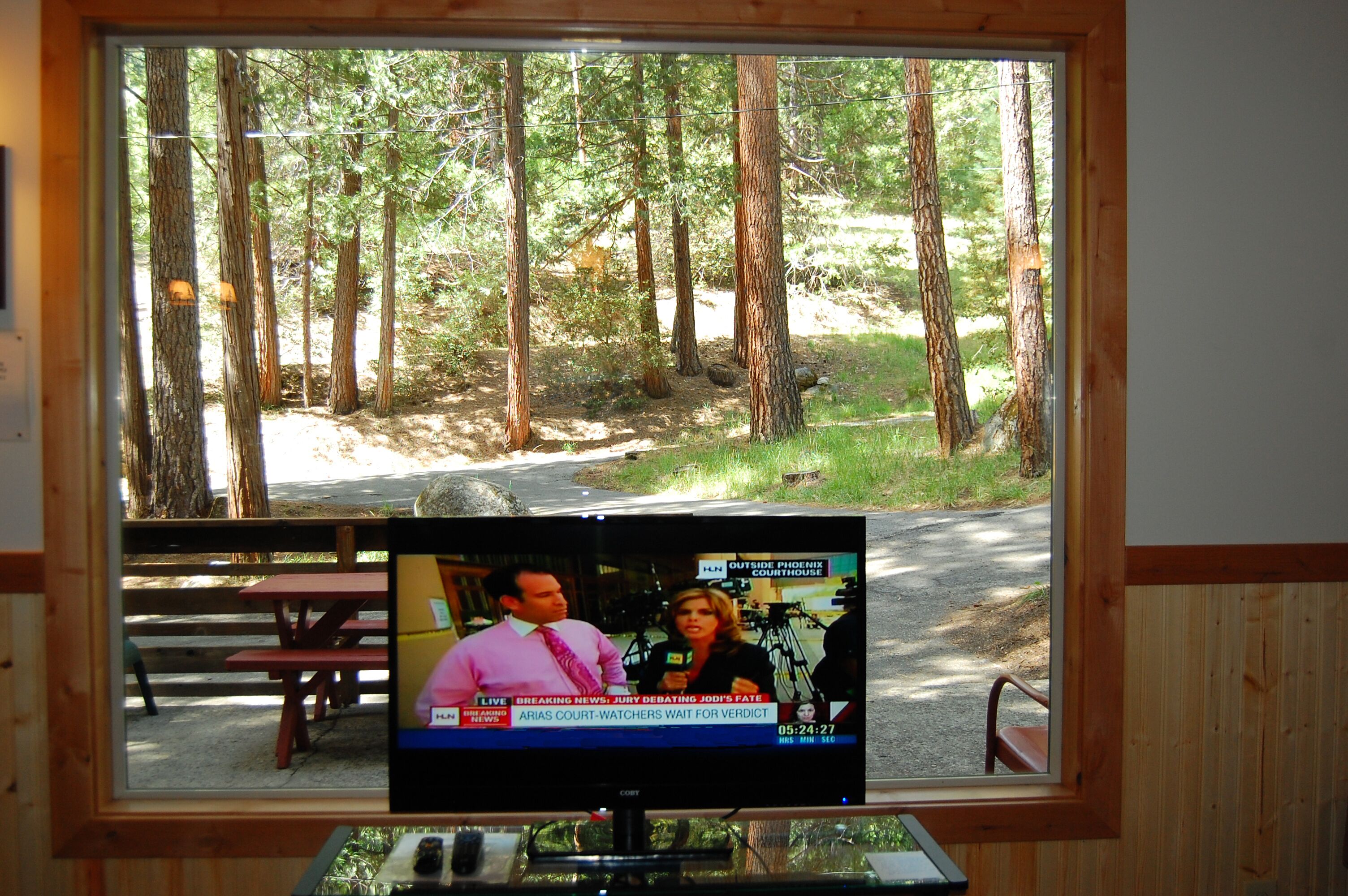 Un televisor mostrando un noticiero con vista a un bosque.