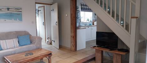 Televisión, reproductor de DVD y libros