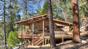 A wooden cabin with a deck, stairs, and a small porch. - (24B) Bird's Eye View at The Redwoods In Yosemite (Yosemite National Park)