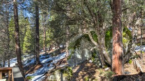 Property grounds - (24B) Bird's Eye View at The Redwoods In Yosemite (Yosemite National Park)
