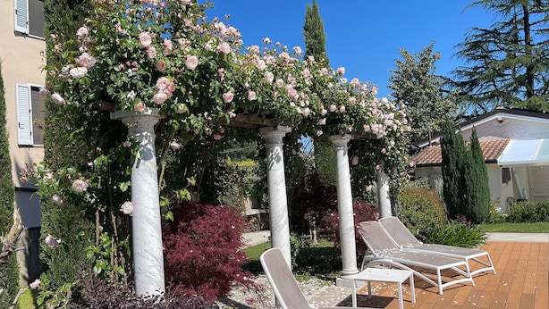 A garden with a pergola covered in pink roses, white columns, and two white lounge chairs. - Ground floor villa apartment with garden and pool, 1 km from the city (Lucca)
