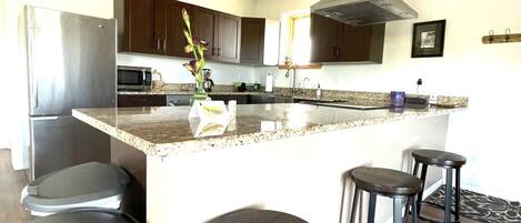 Frigorífico, microondas, horno y placa de cocina