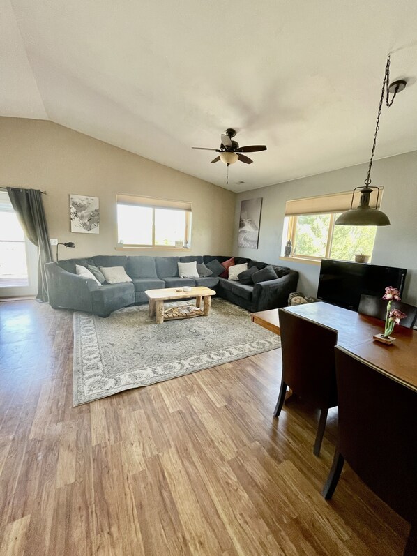 TV, DVD player, books, video library