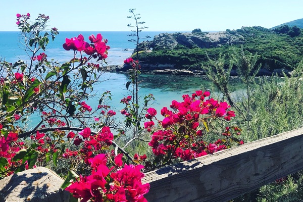 Àrea exterior de l'allotjament