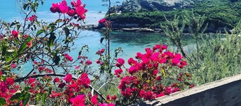 *Shell Beach - Capistrano Cottage*