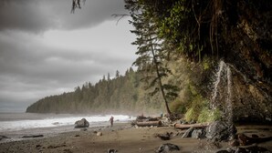 Une plage rocheuse avec une cascade, des arbres et l’océan.