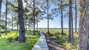 Un sentier en bois traverse un parc où s’élèvent de grands arbres, et offre une vue sur l’eau.