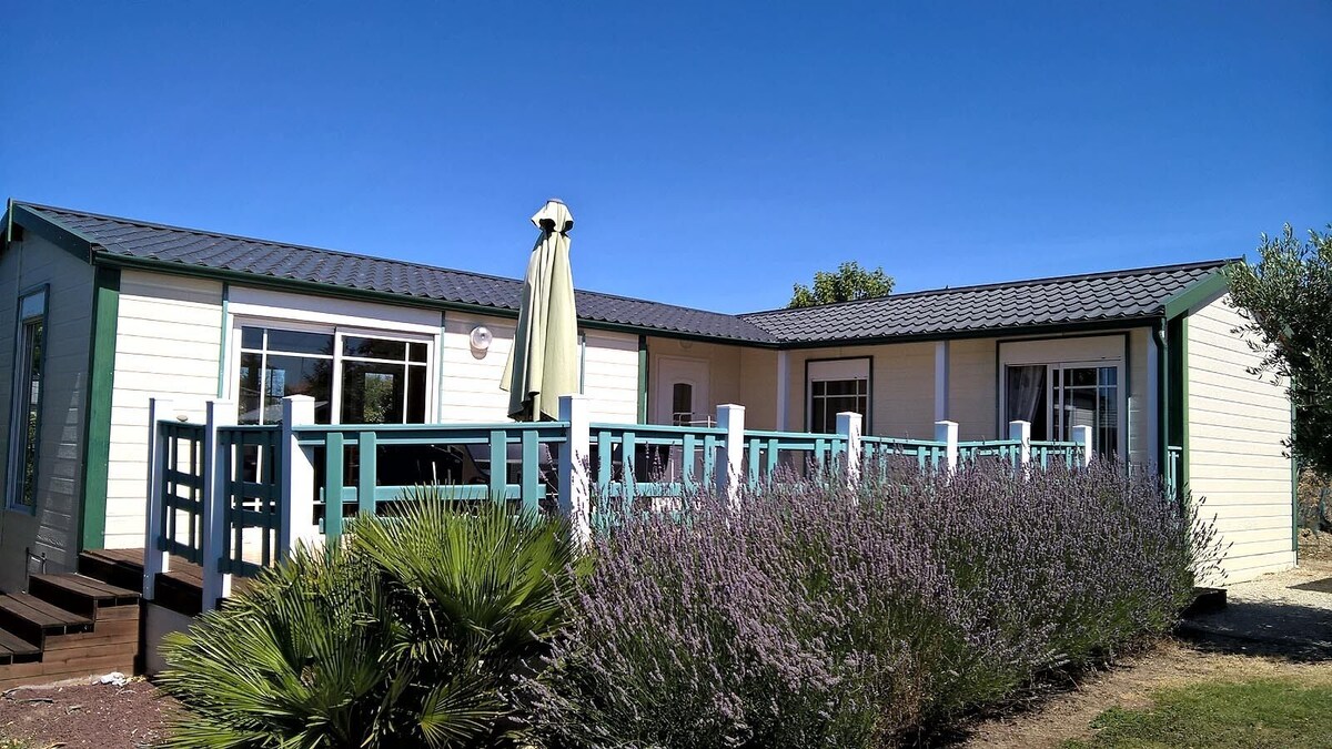 オーナーのプロフィール画像