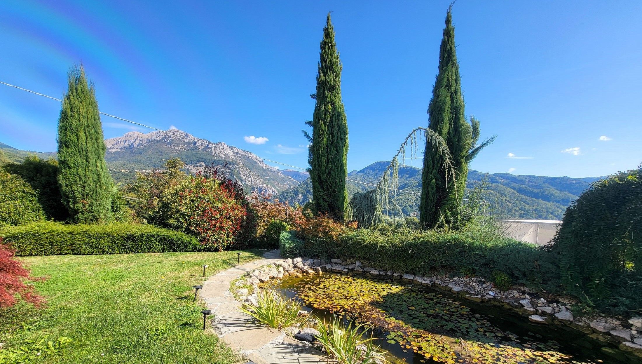 Un jardín con un sendero de piedra, un estanque cubierto de lirios y árboles altos.