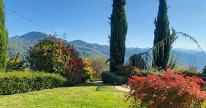 Ein angelegter Garten mit verschiedenen Bäumen und Sträuchern, einem klaren Himmel und Bergen im Hintergrund.