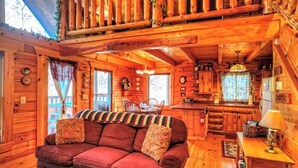 Living area - Mick's Hideaway - Semi-Secluded (Sevierville)