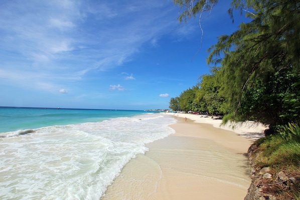 Playa en los alrededores