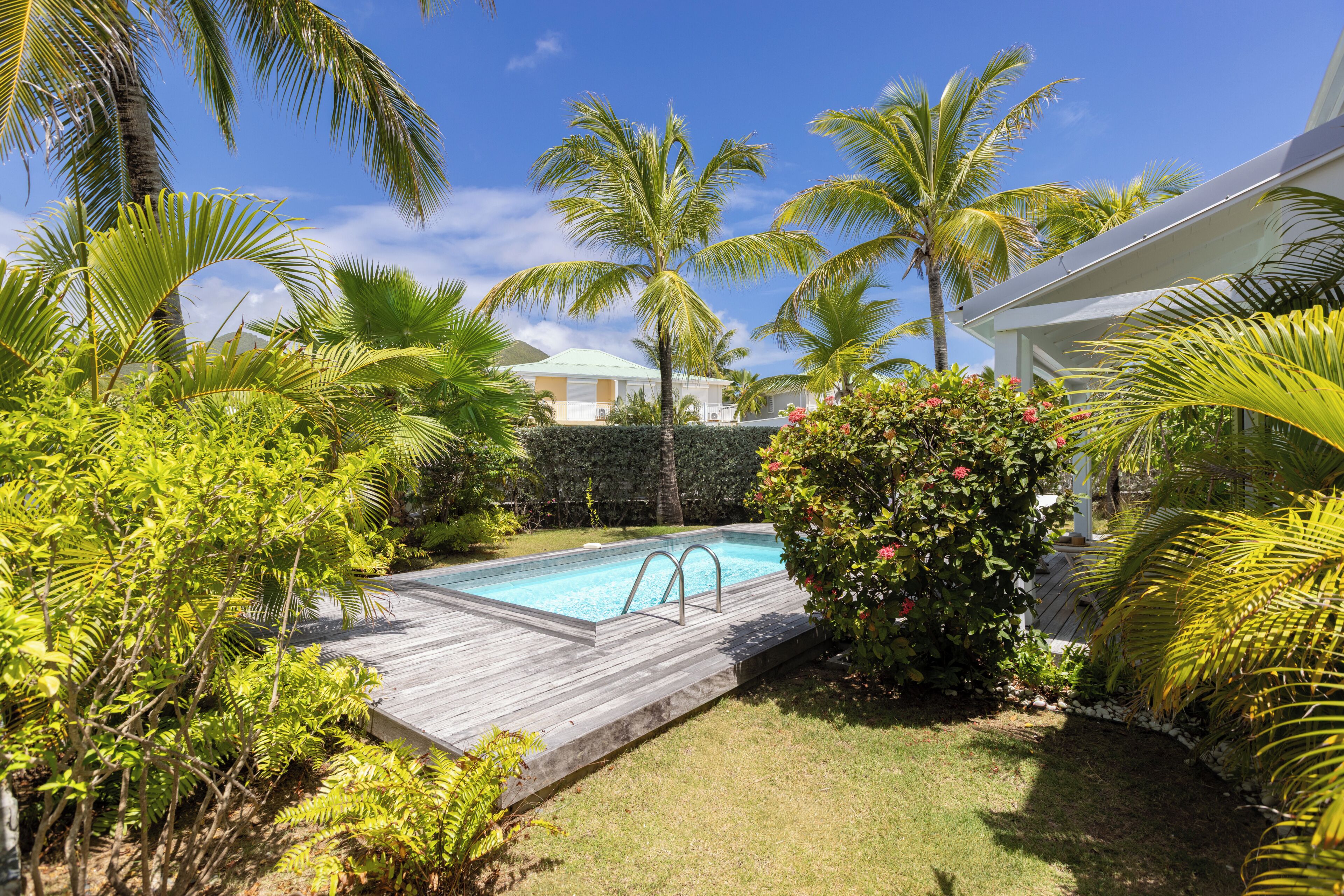 A swimming pool surrounded by lush greenery and palm trees.