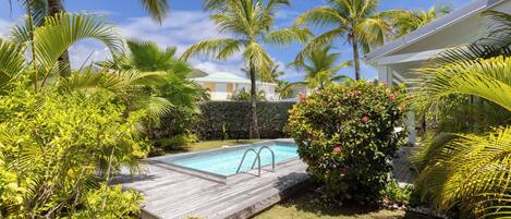A swimming pool surrounded by lush greenery and palm trees.
