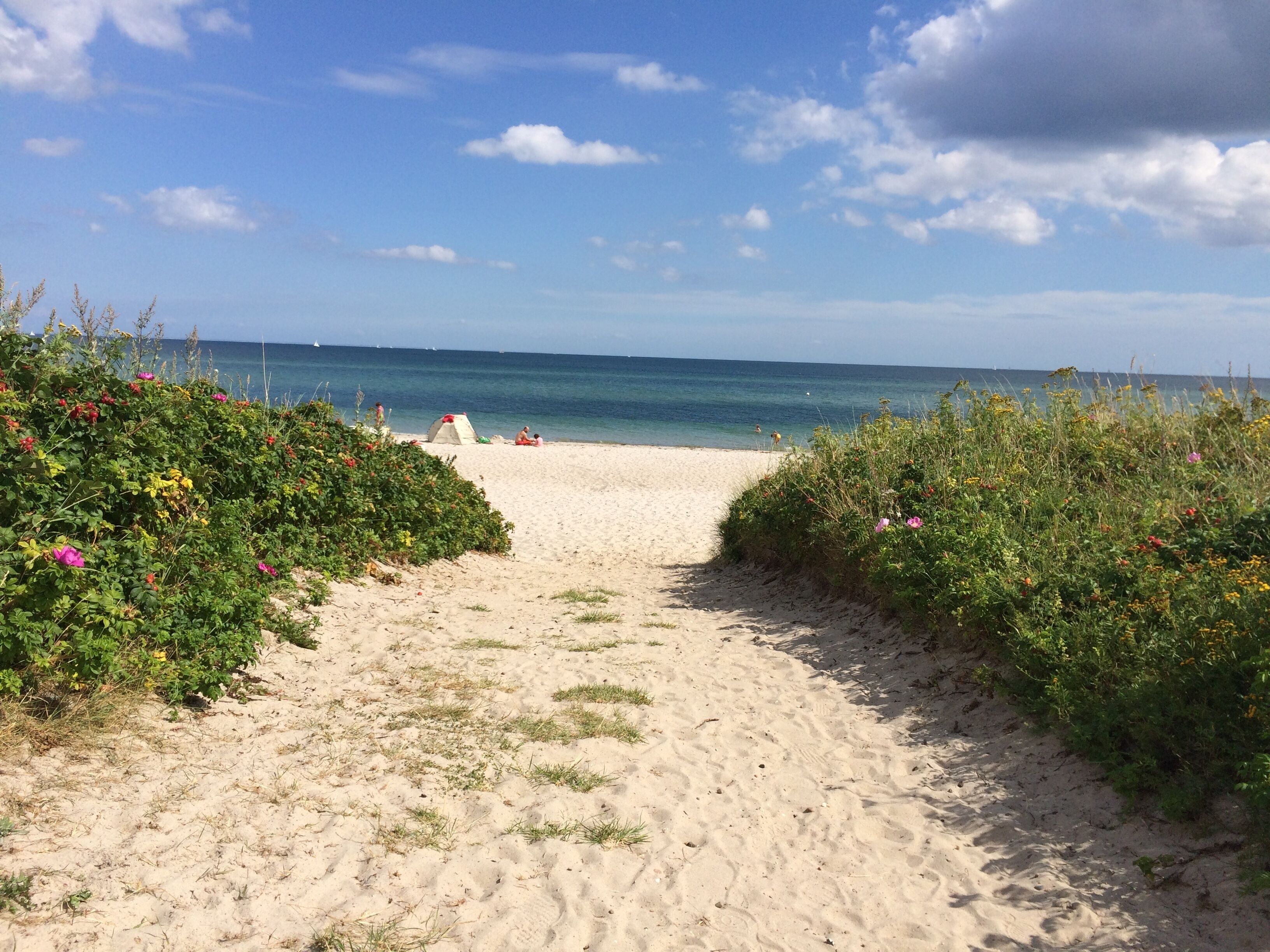 Beach nearby, sun-loungers
