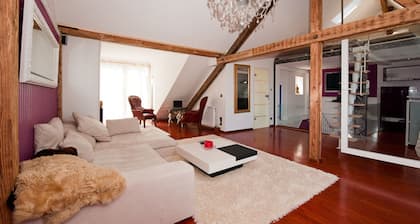 City Luxus Apartment