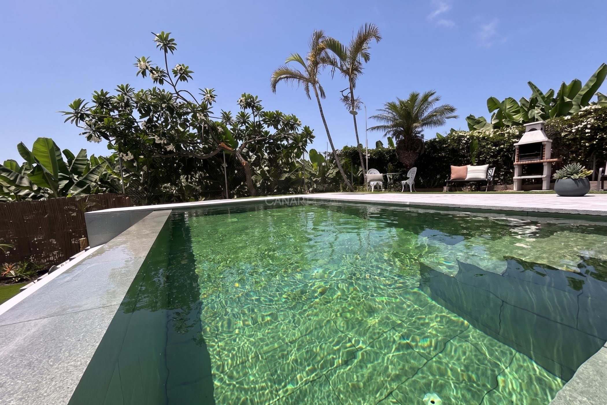 A clear swimming pool surrounded by tropical plants and a barbecue area.