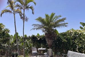 A patio with outdoor furniture, a palm tree, and a variety of tropical plants.