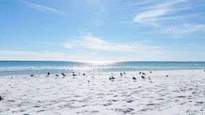 Une plage de sable fin, sous un ciel dégagé.