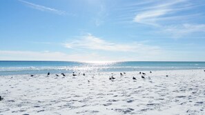 Beach nearby - Relaxation #201 - Convenient Location, short walk to the beach and restaurants (Destin)