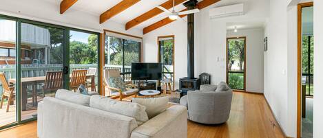 TV, fireplace, DVD player, books