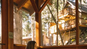 A person sitting on a bed with a laptop, a window with a view of a wooden cabin, and a plaid blanket. - Idyllbrook: Mission-style gem with a screened BrookHouse gazebo & EV charger. (Idyllwild-Pine Cove)
