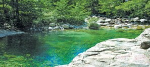 A clear, natural pool surrounded by rocks and dense greenery.