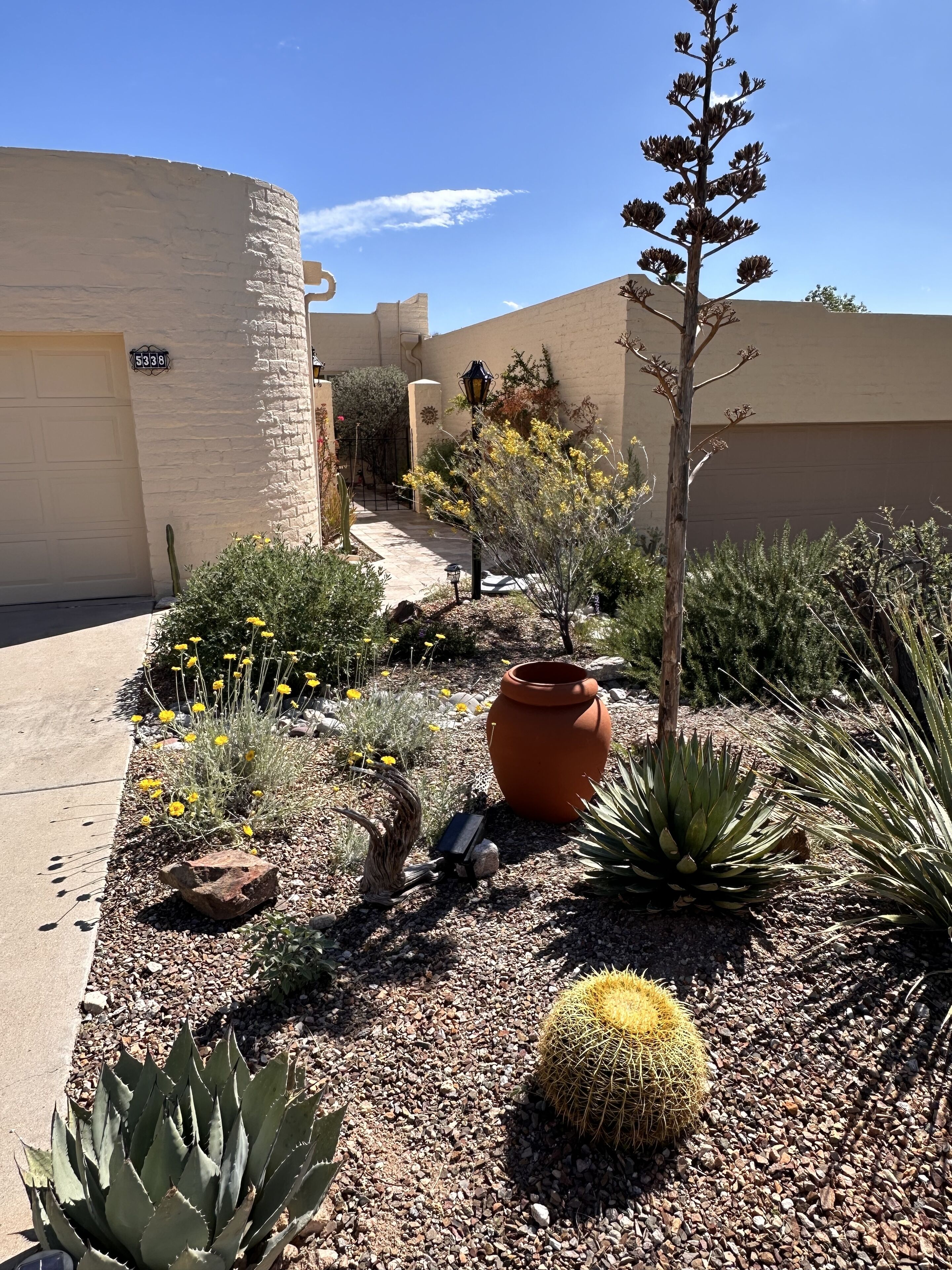 Cozy townhouse in beautiful surroundings in Catalina Foothills
