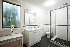 Hair dryer, towels, toilet paper