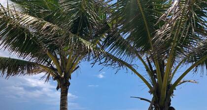 Nice Studio Suite - Minutes from everything