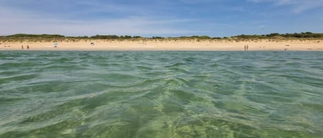 Playa en los alrededores y camastros