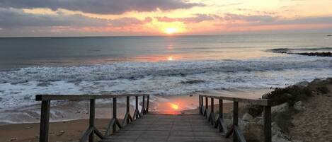 Playa en los alrededores y camastros
