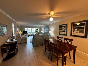 تلفزيون، مشغل دي في دي