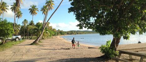 Beach nearby, sun loungers, beach towels