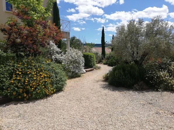 المنطقة المحيطة بالمنشأة